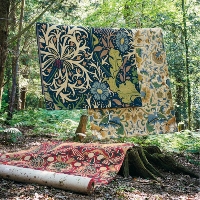 カーテン(Curtain)