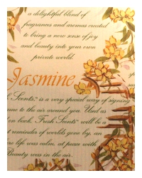 �W���X�~��